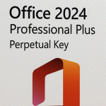 Microsoft Office 2024 Professional Plus. Perpetual License